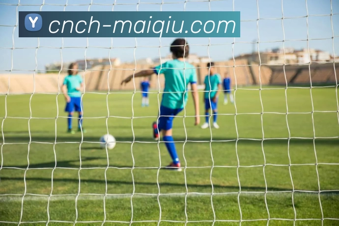 买球线上官方全站App